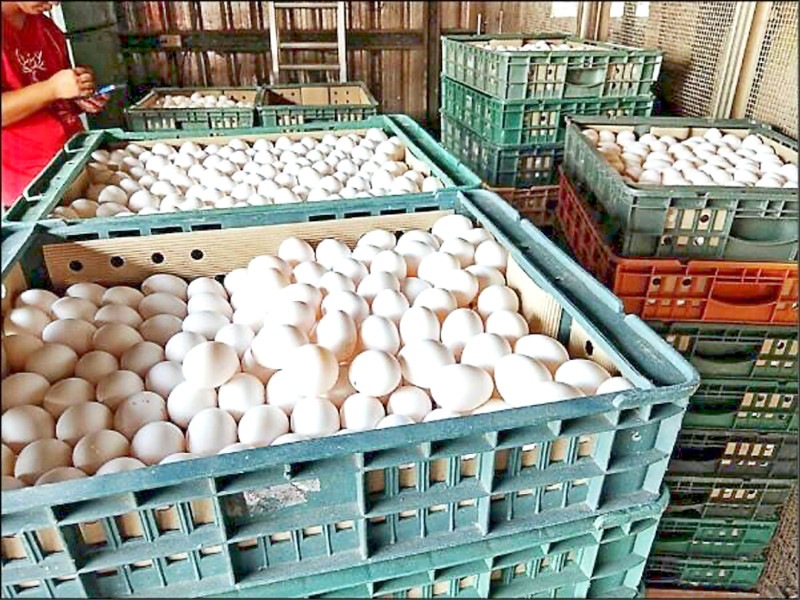 PLAY948-資訊情報–雞蛋連2漲 批發價每斤52元