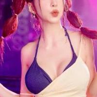 越南四翼