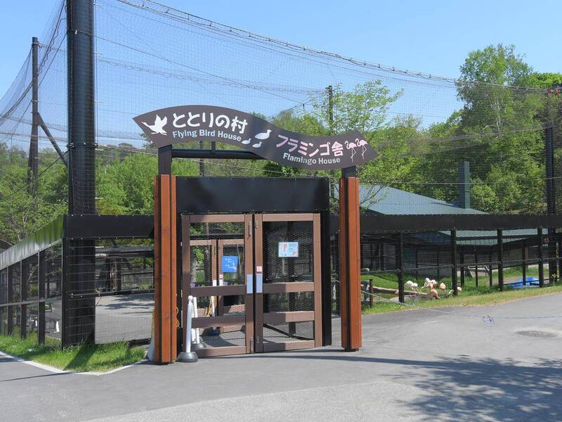 PLAY948-熱門新聞-【地獄級毀屍滅跡】驚悚！旭山動物園員工「狠殺親妻」拋入焚化爐，隔天竟面無表情照常上班，冷血程度全網嚇傻！